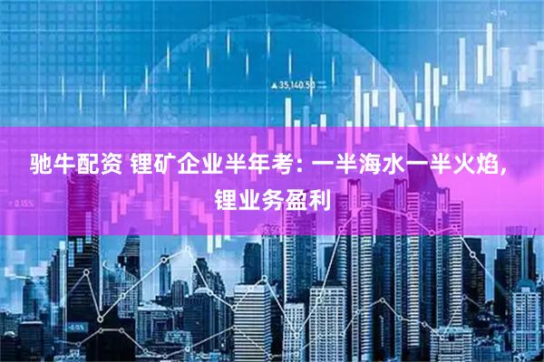 驰牛配资 锂矿企业半年考: 一半海水一半火焰, 锂业务盈利